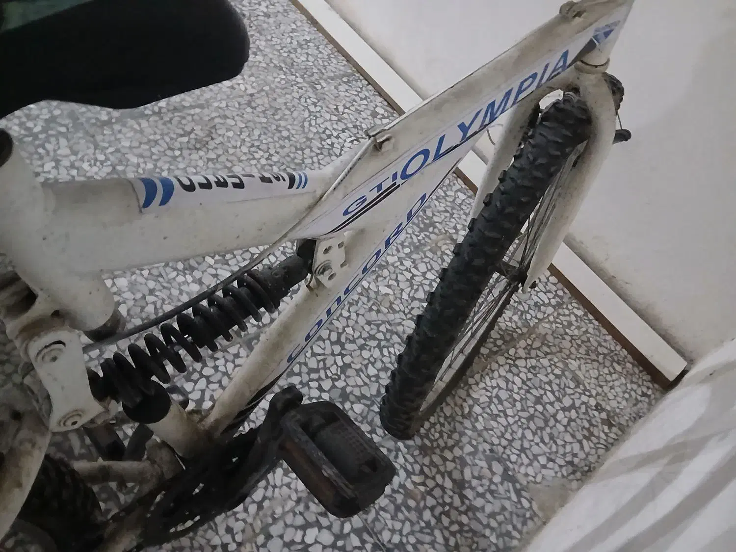 دوچرخه ویوا|دوچرخه، اسکیت، اسکوتر|رشت, رشتیان|دیوار