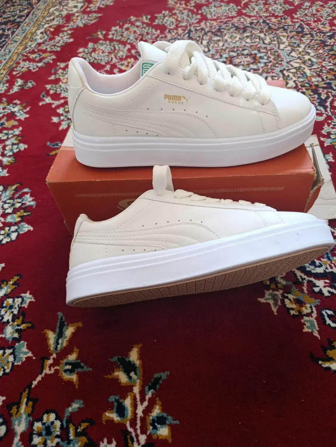 کفش|کیف، کفش، کمربند|نهبندان, |دیوار