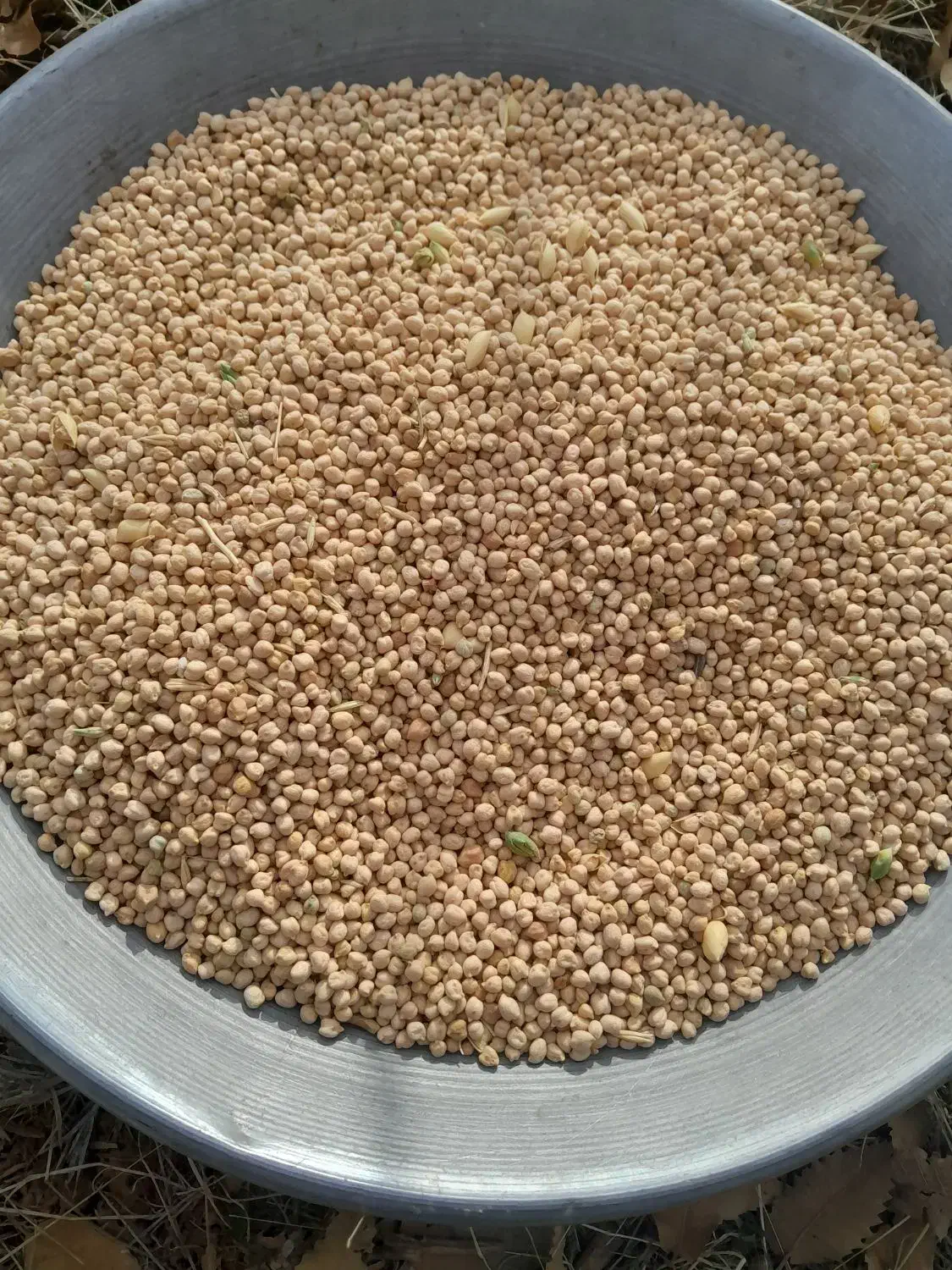 نخودچگنی|لوازم جانبی حیوانات|فیروزآباد (لرستان), |دیوار