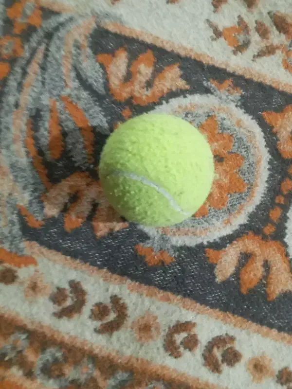 توپ تنیس|ورزشهای توپی|بروجرد, |دیوار