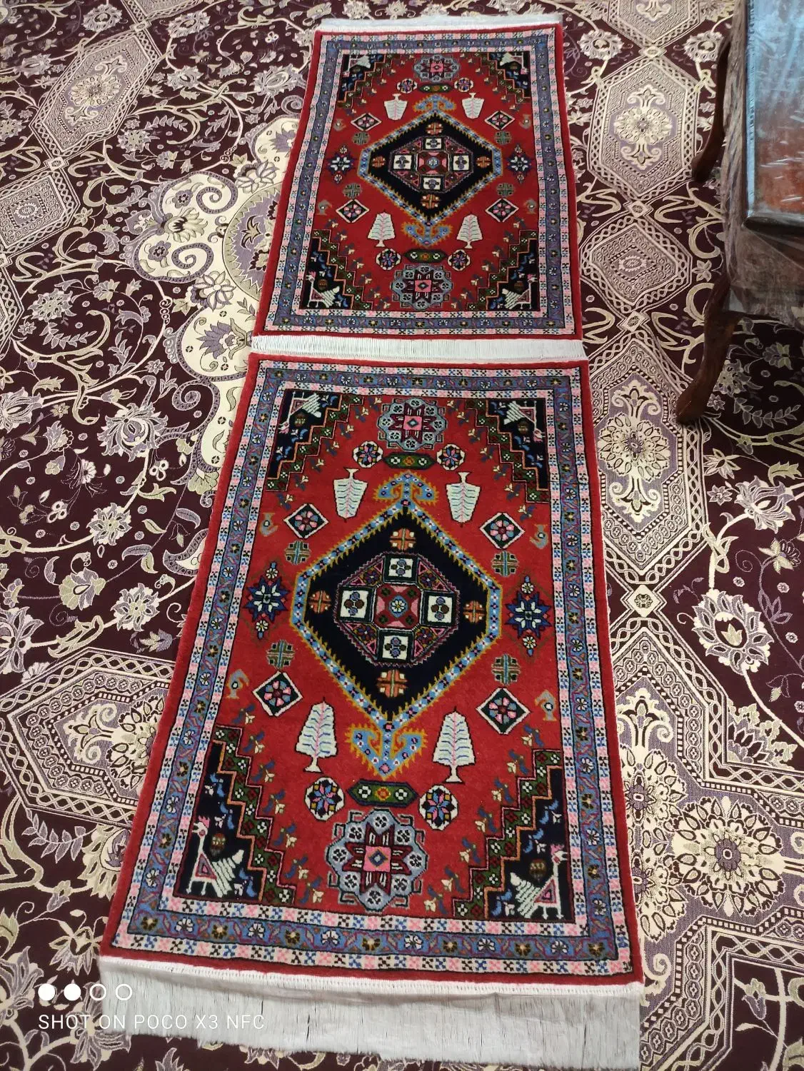 پادری دستباف|فرش|اردبیل, |دیوار