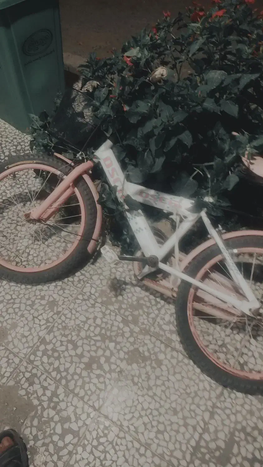 دوچرخه نو سایز بیست|دوچرخه، اسکیت، اسکوتر|آزادشهر, |دیوار