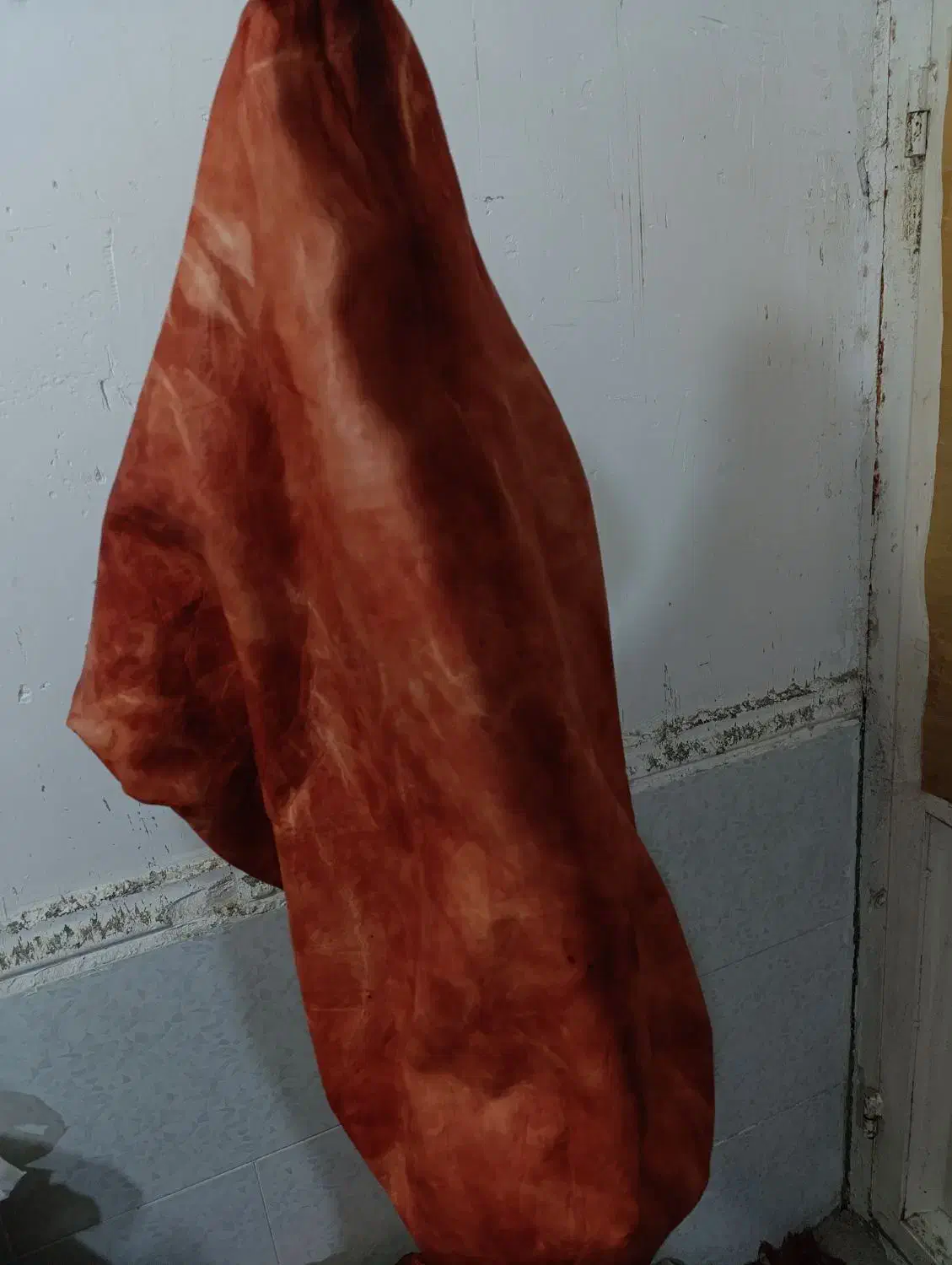 نی انبان|سازهای بادی|برازجان, |دیوار