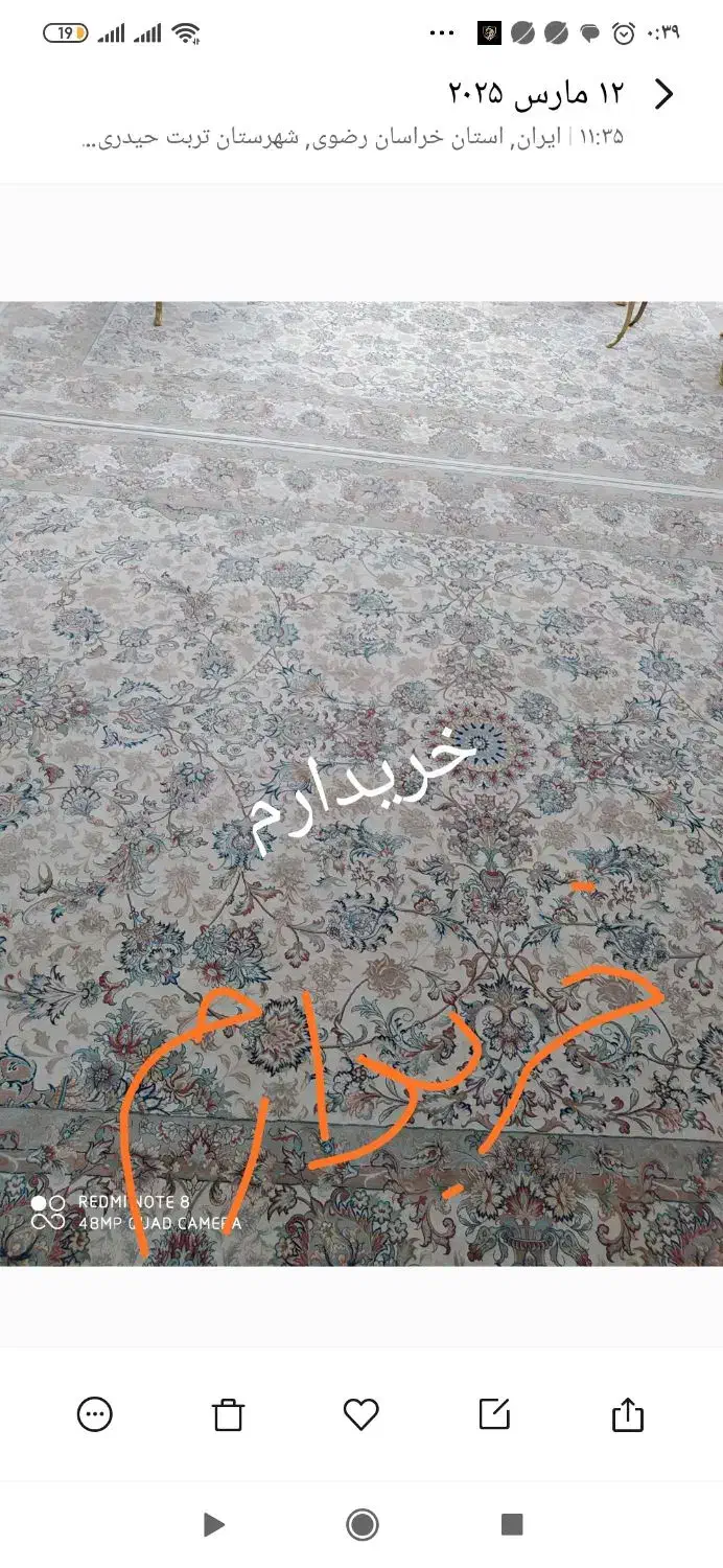 فرش افشان خطیبی|فرش|تربت‌حیدریه, قائم|دیوار