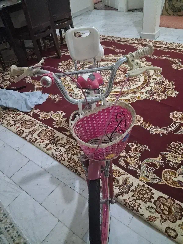 دوچرخه|دوچرخه، اسکیت، اسکوتر|تهران, باغ فیض|دیوار