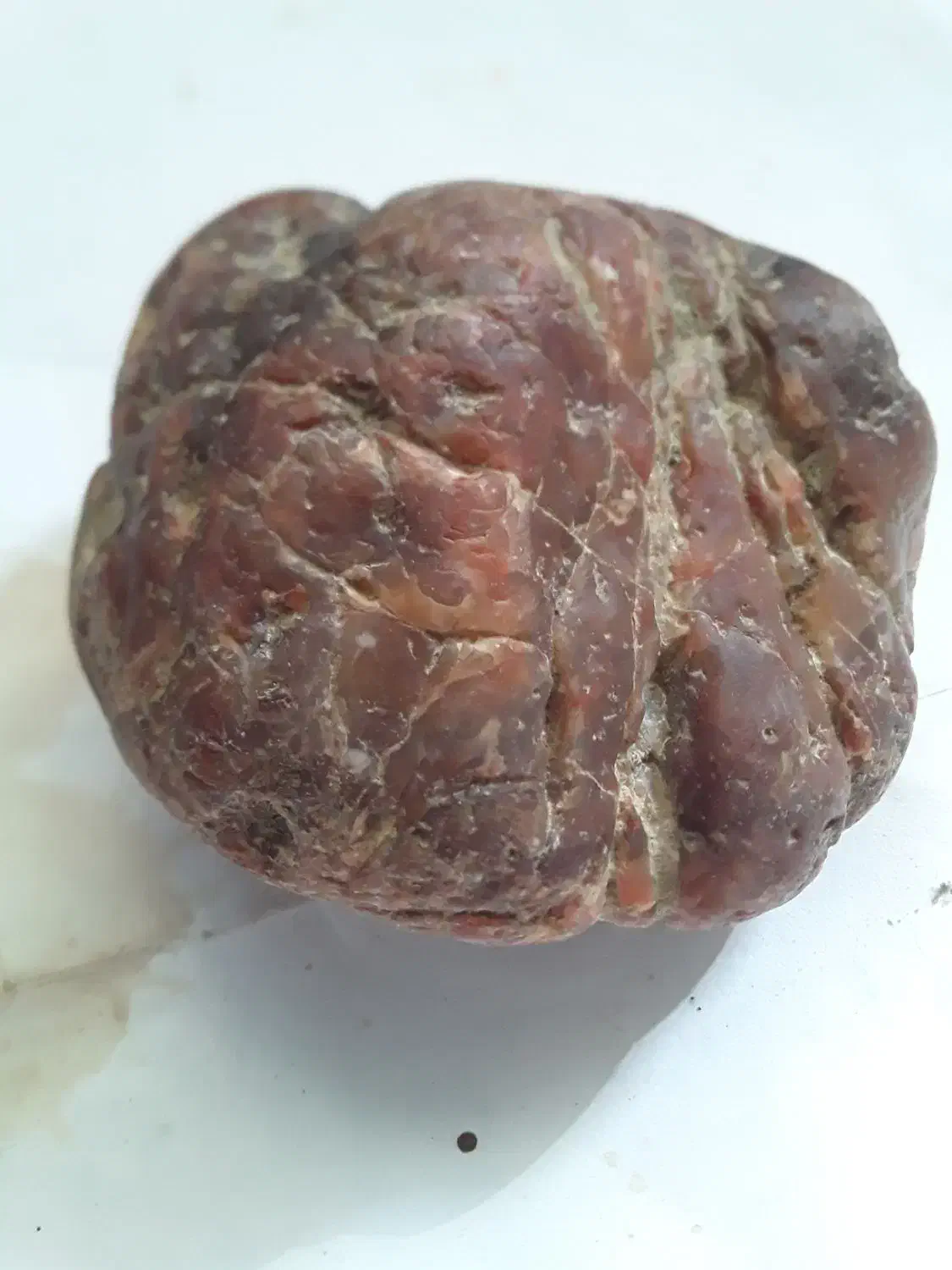 سنگ آسمانی|کلکسیون اشیاء عتیقه|کلیبر, |دیوار