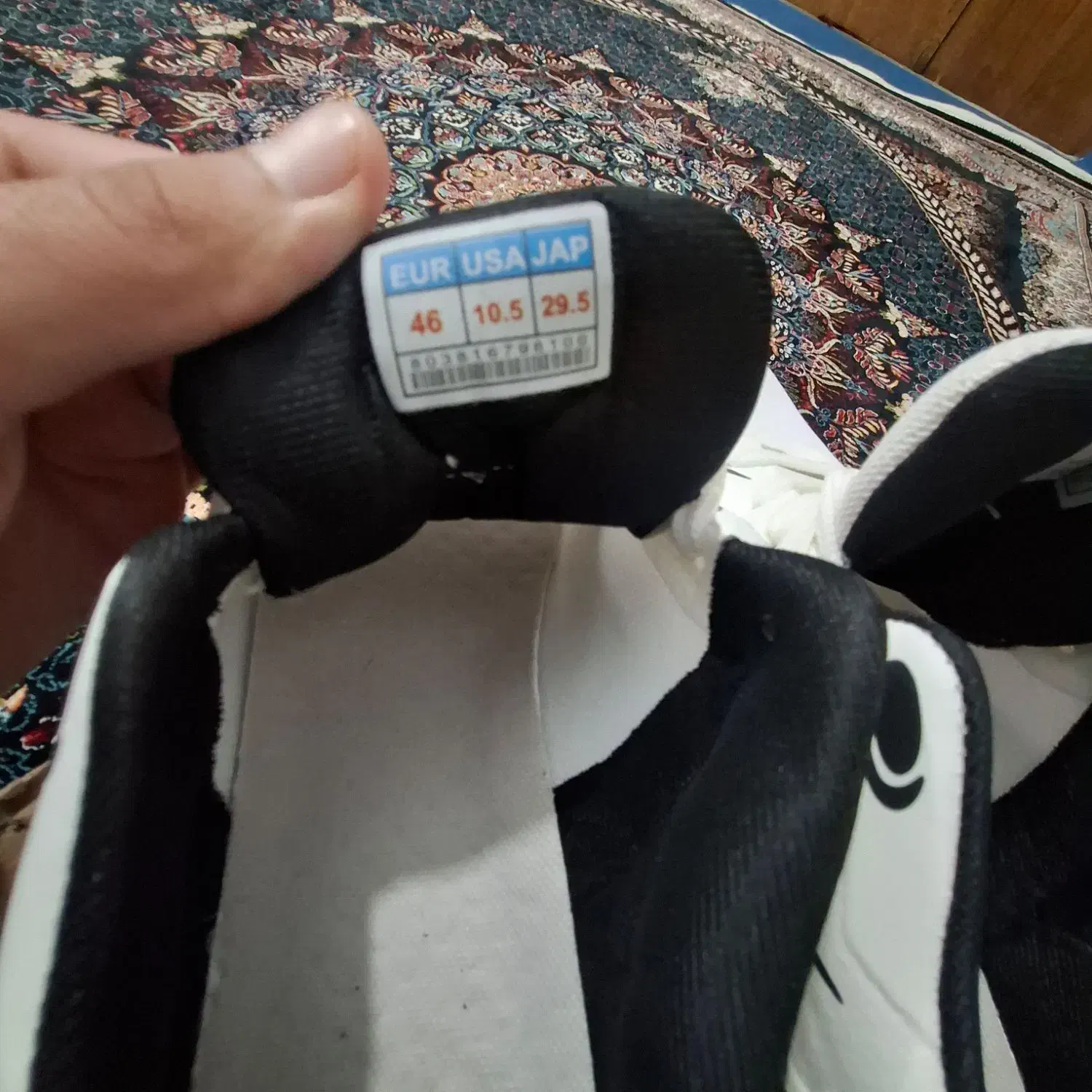 کفش|کیف، کفش، کمربند|سنقر, |دیوار