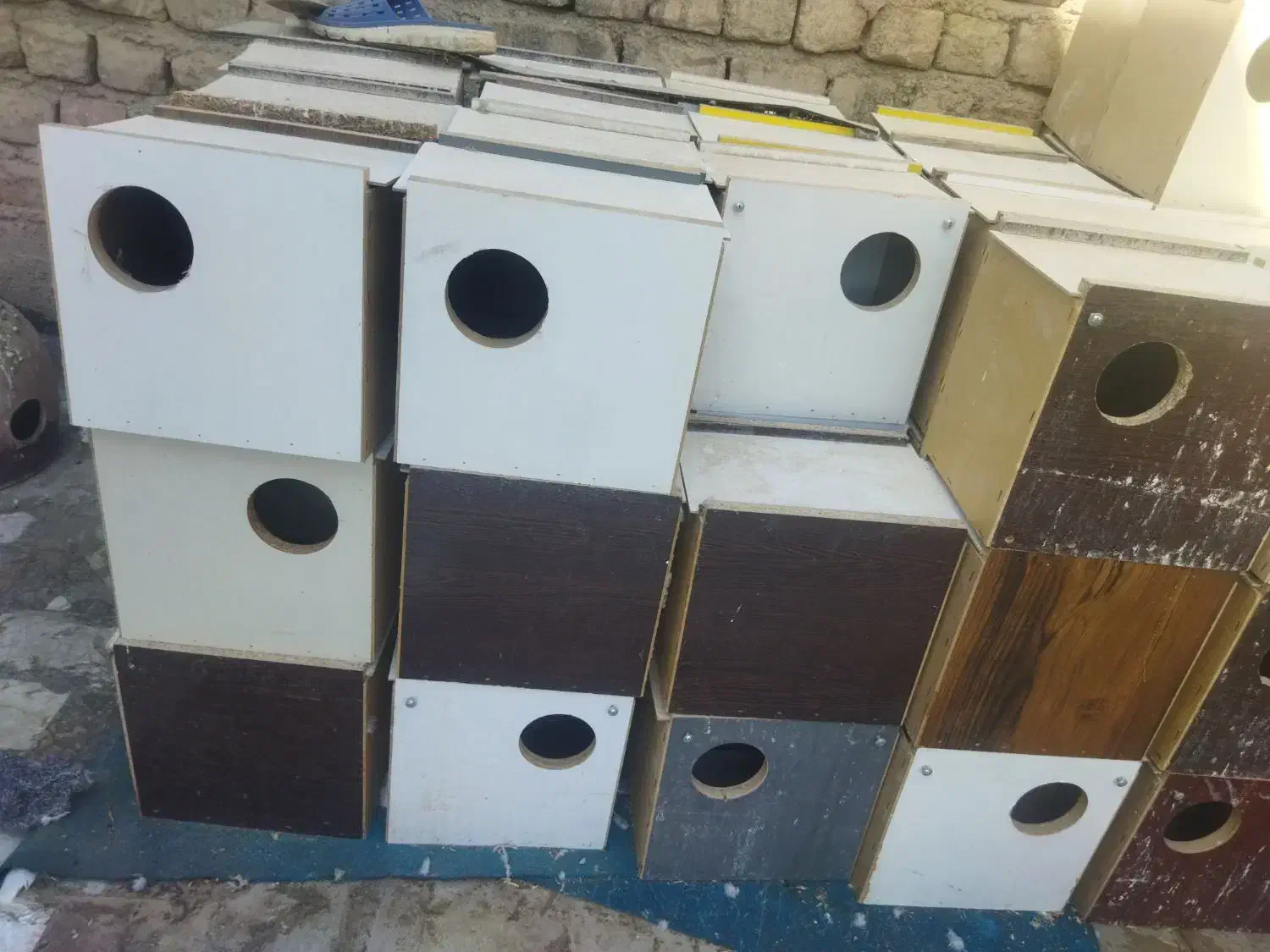 لونه|لوازم جانبی حیوانات|ساوه, |دیوار