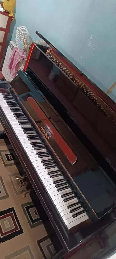 پیانو آکوستیک|پیانو، کیبورد، آکاردئون|تنکابن, |دیوار