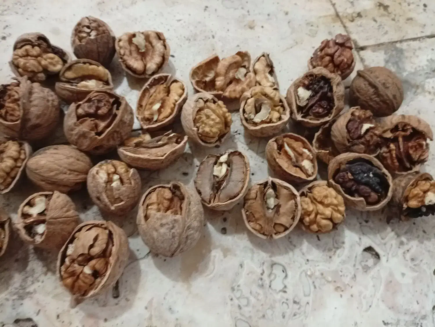 گردوی فروشی|عمده‌فروشی|آذرشهر, |دیوار