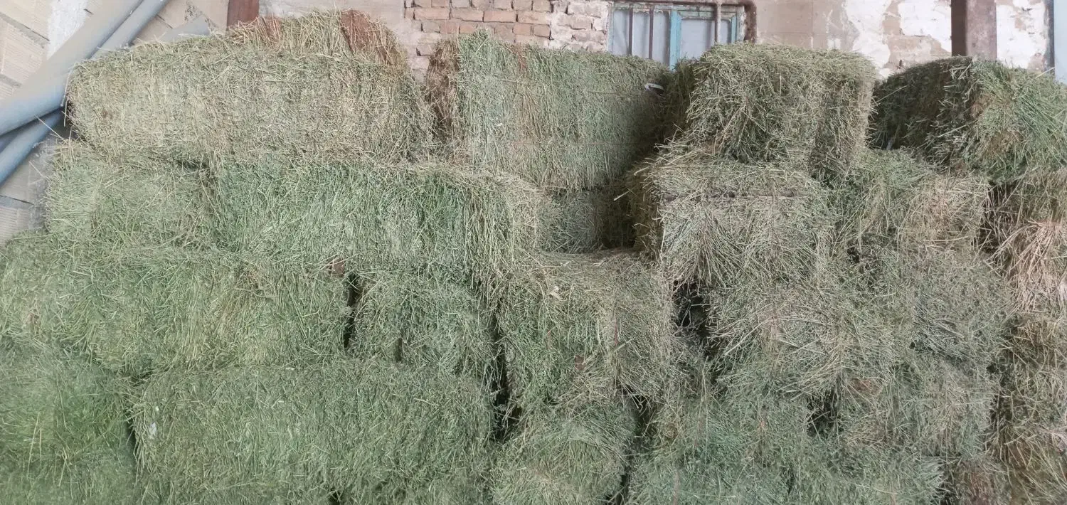 یونجه|لوازم جانبی حیوانات|جوکار, |دیوار