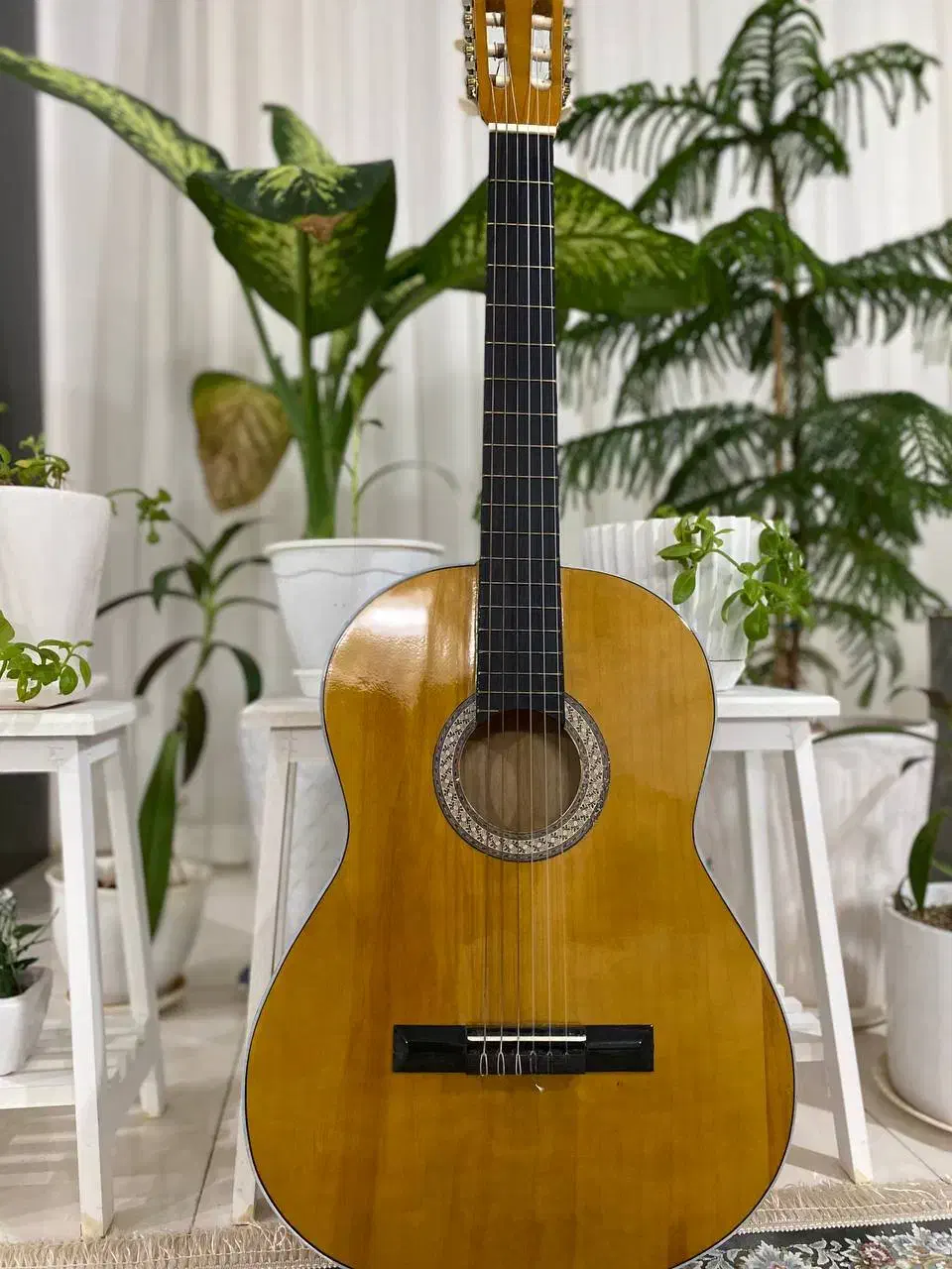 گیتار زیر قیمت|گیتار، بیس، امپلیفایر|نظرآباد, احمد آباد|دیوار