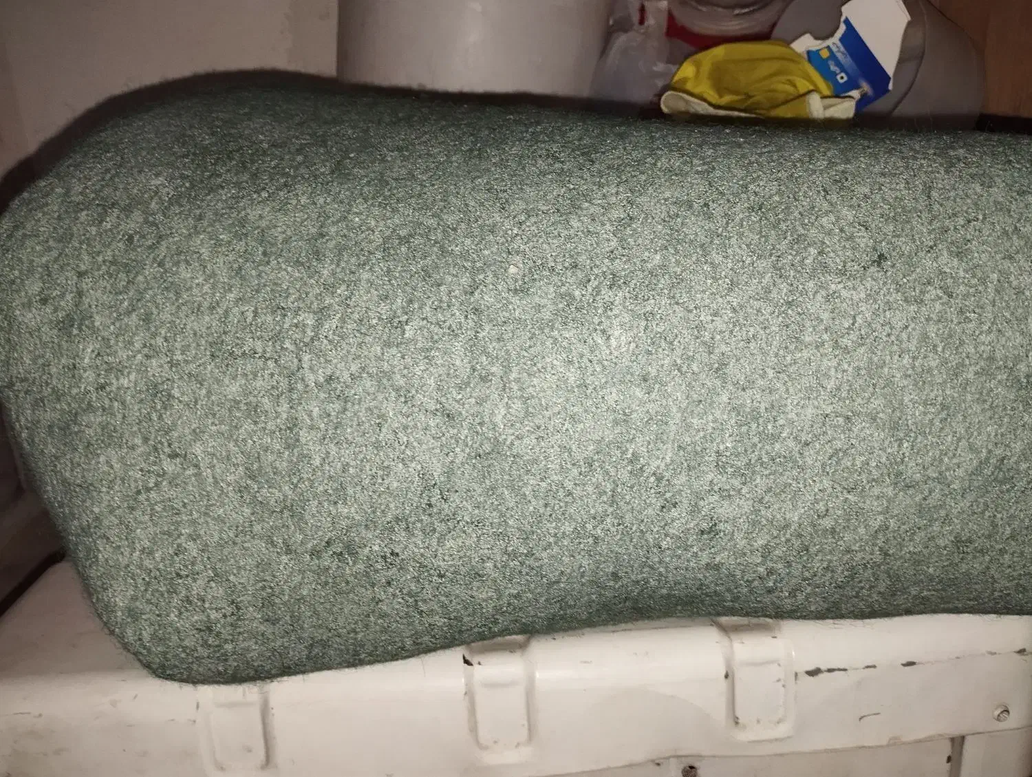 موکت سبز|موکت|مشهد, پنجتن|دیوار