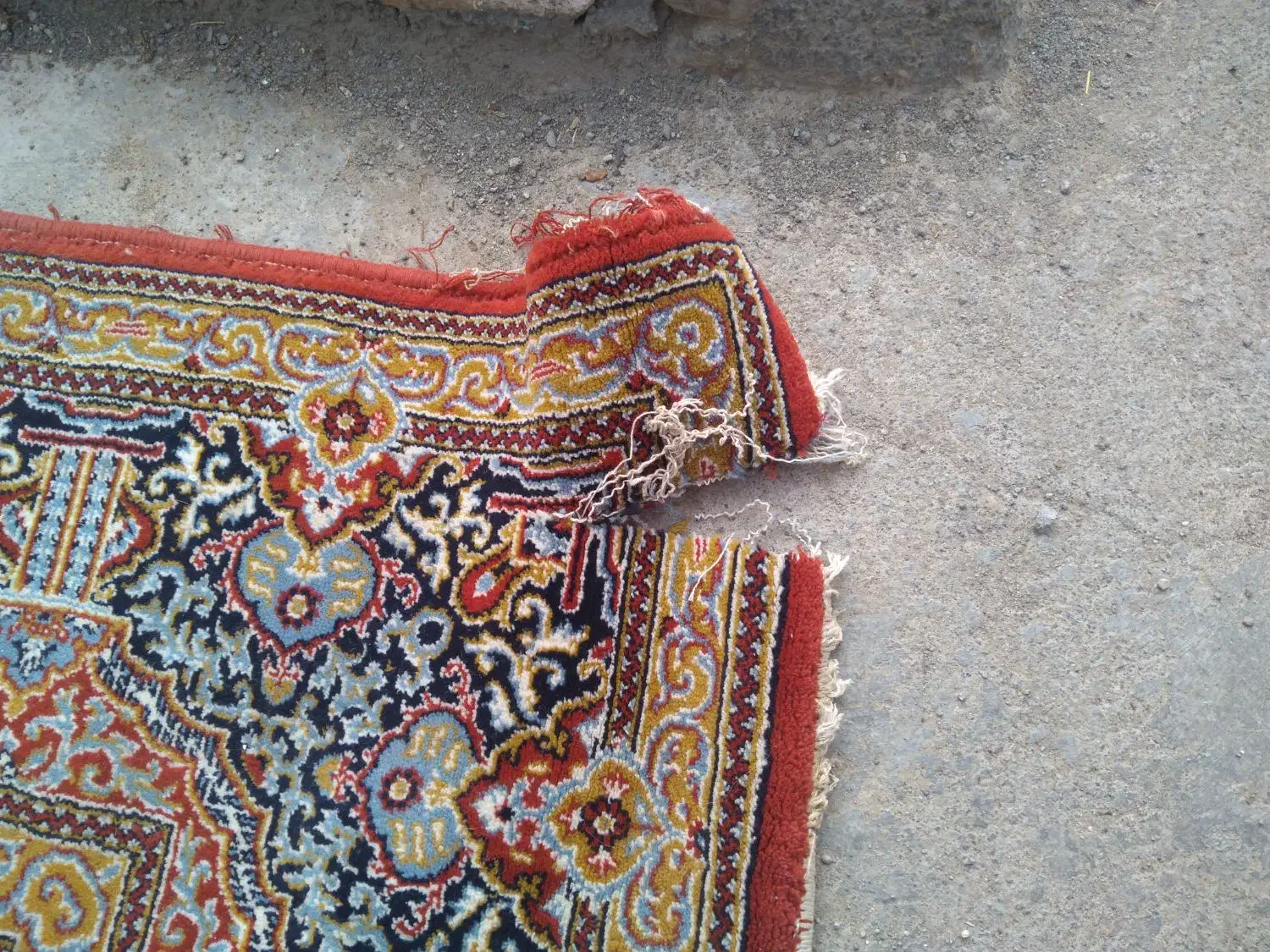 فرش 9 متری قدیمی تمام نخ|فرش|تربت جام, معدآباد|دیوار