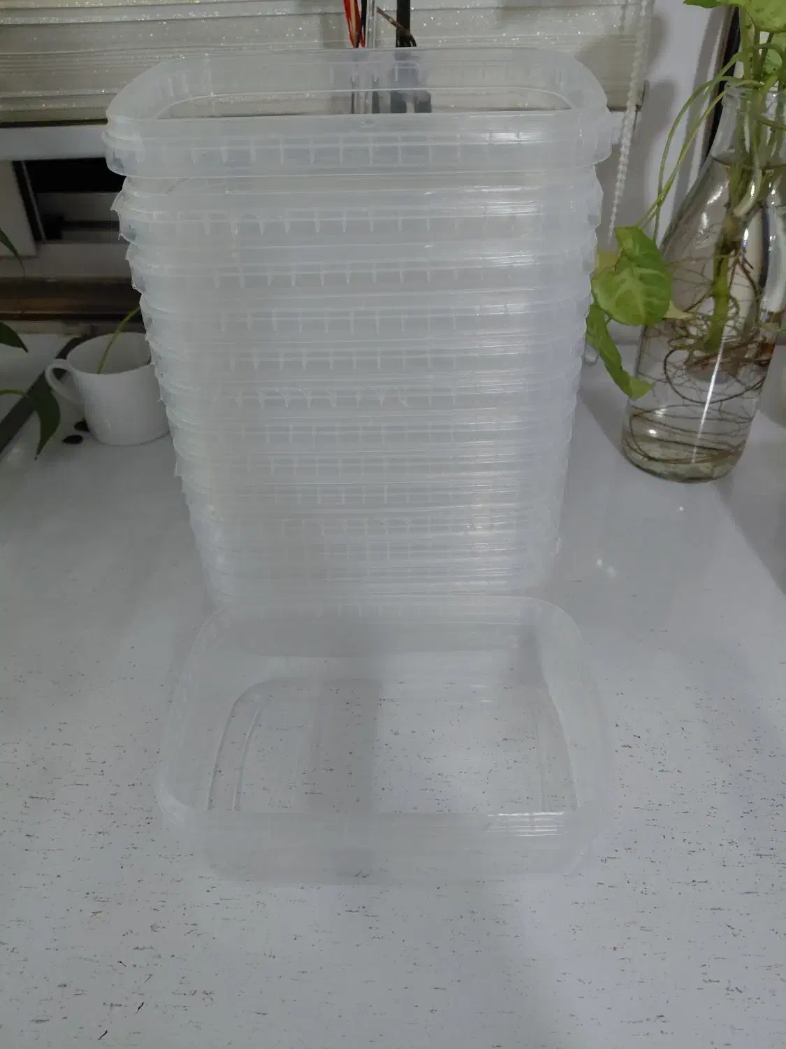 *ظرف پلاستیکی دَر کیپ ،ظرف فریزری کاملا شفاف*|ظروف نگهدارنده، پلاستیکی، یک‌بارمصرف|فردیس, شهرک شهید حسینی|دیوار