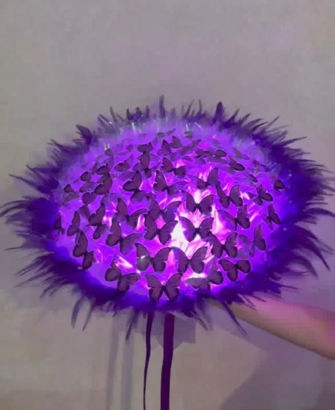 بوکت و باکس پروانه|اسباب‌‌بازی|بروجرد, |دیوار