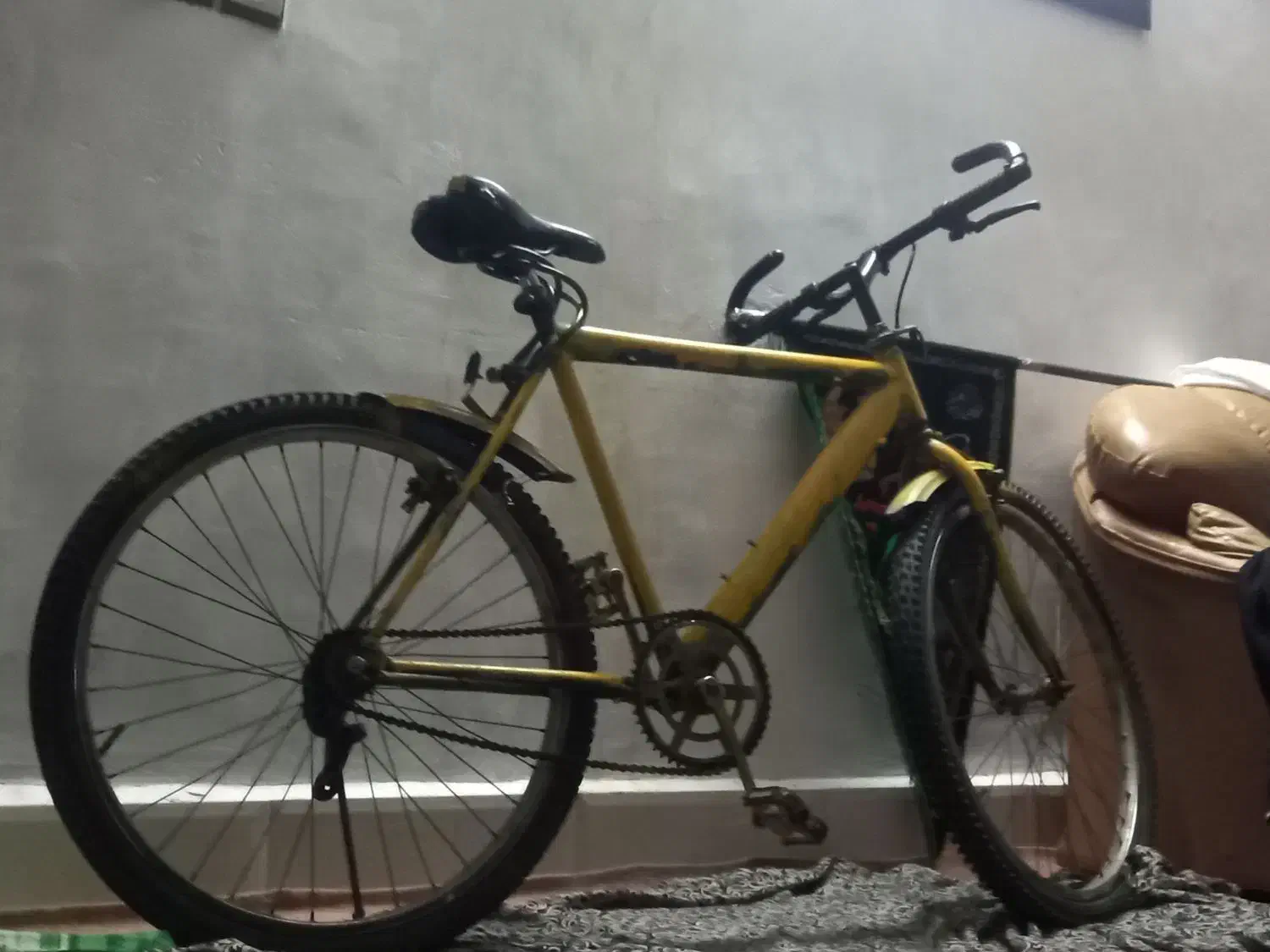 دوچرخه ۲۶|دوچرخه، اسکیت، اسکوتر|پیشوا, |دیوار