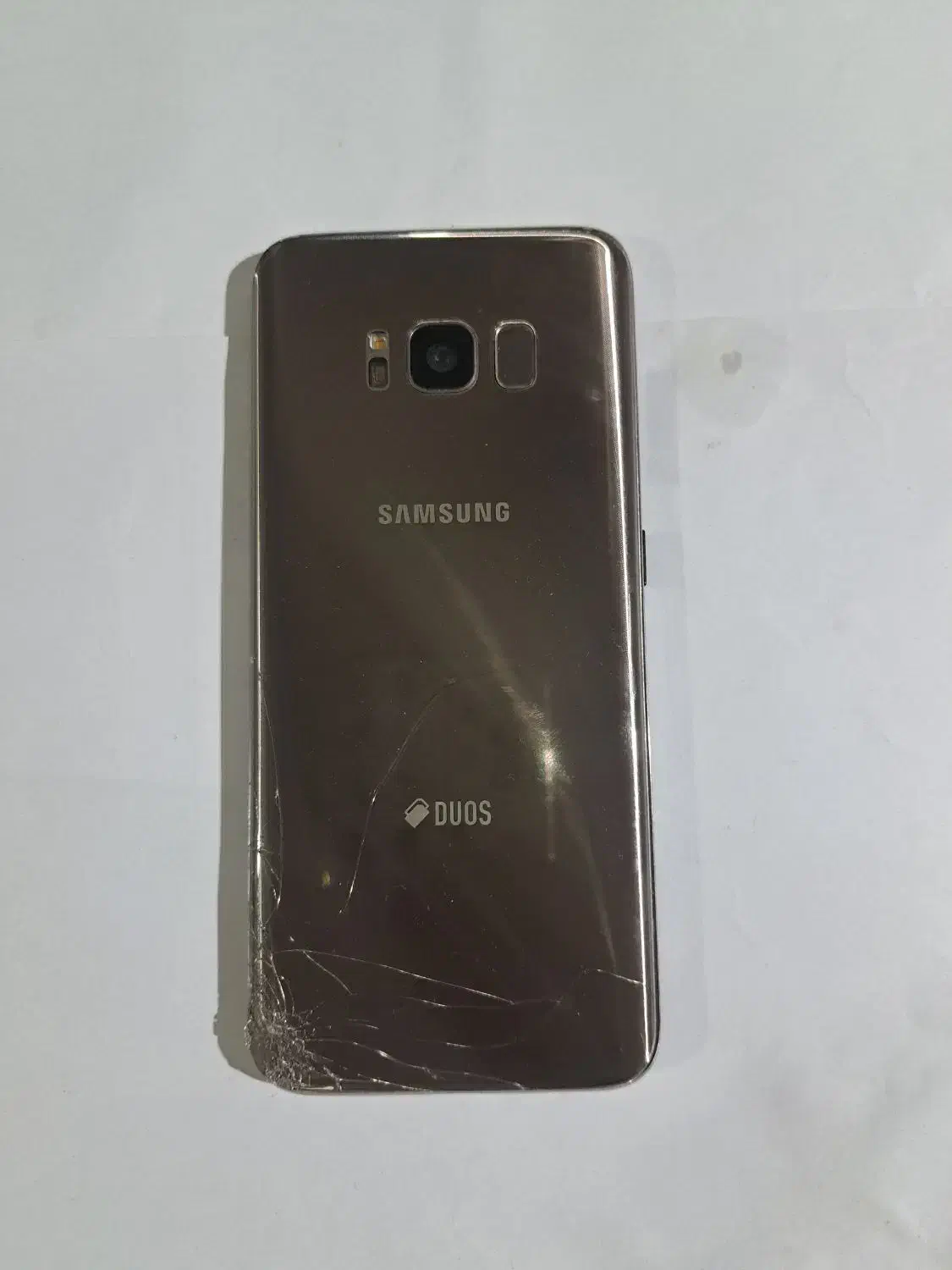 سامسونگ s8|موبایل|شیراز, سینما سعدی|دیوار