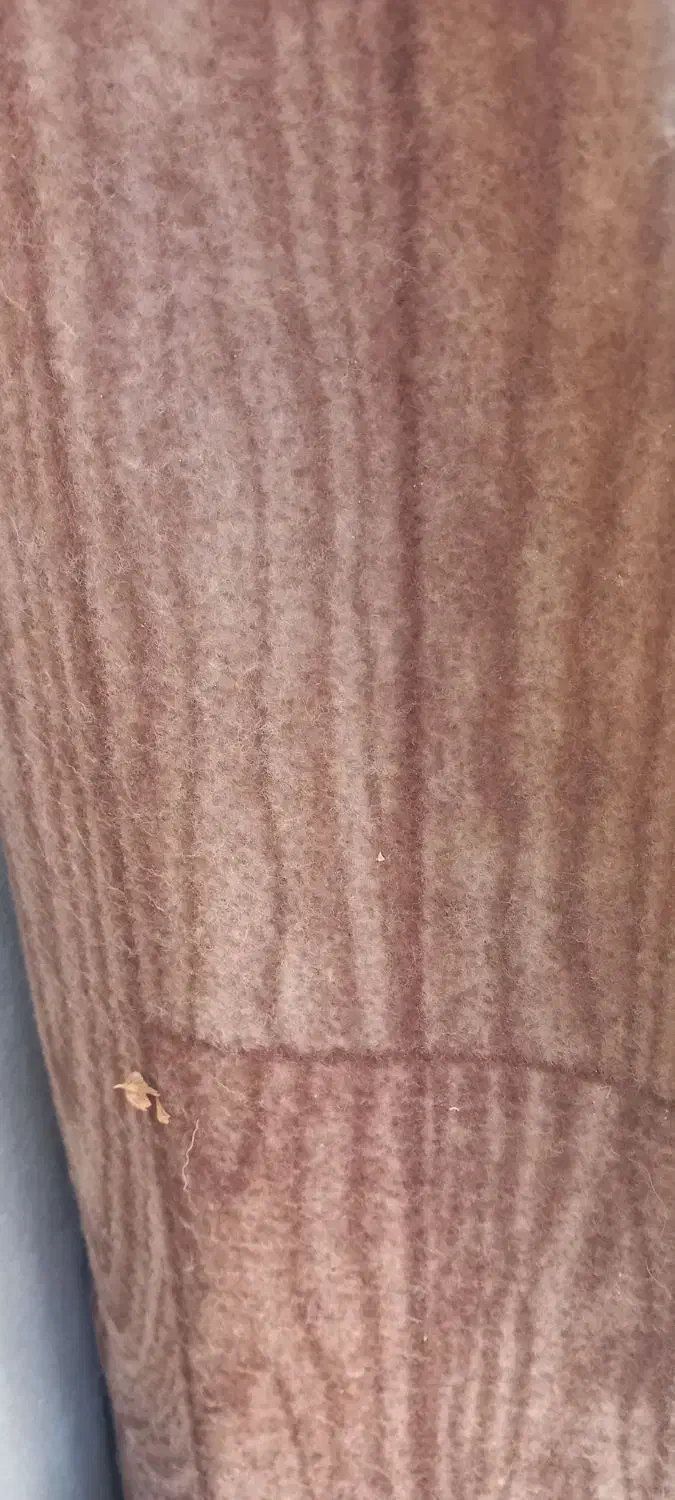 موکت|موکت|بوئین زهرا, |دیوار