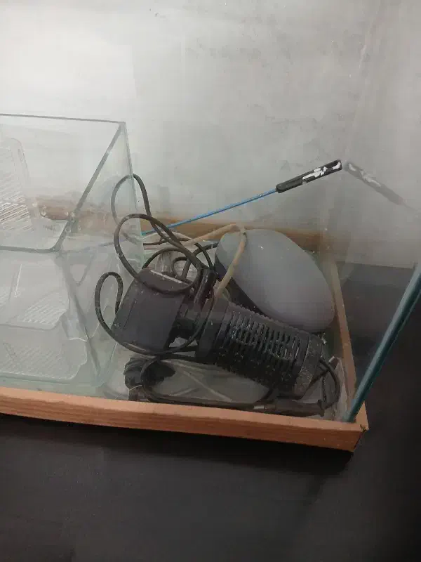 اکواریوم|لوازم جانبی حیوانات|شاهین‌شهر, مسکن مهر|دیوار