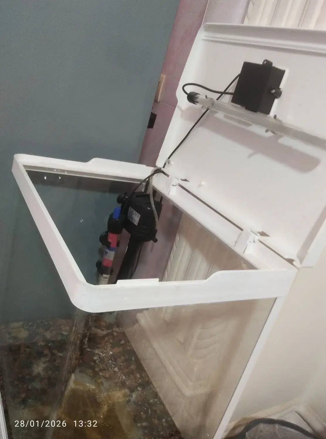 اکواریوم در حد نو|ماهی|مسجد سلیمان, |دیوار