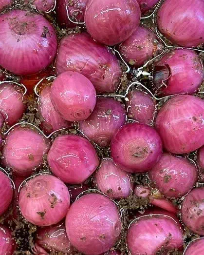 قند و نبات دمنوشی،پیاز ترشی،قهوه،شوینده|خوردنی و آشامیدنی|قم, گلزار|دیوار