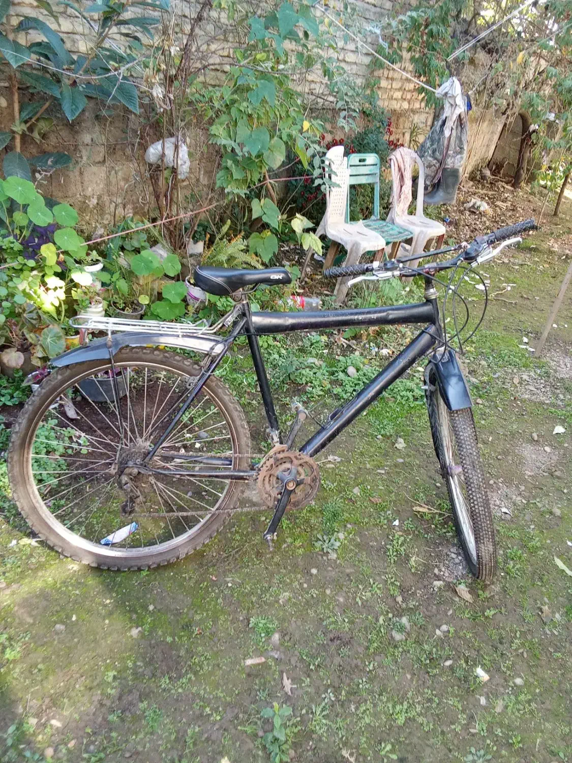 دوچرخه|دوچرخه، اسکیت، اسکوتر|طاهرگوراب, |دیوار