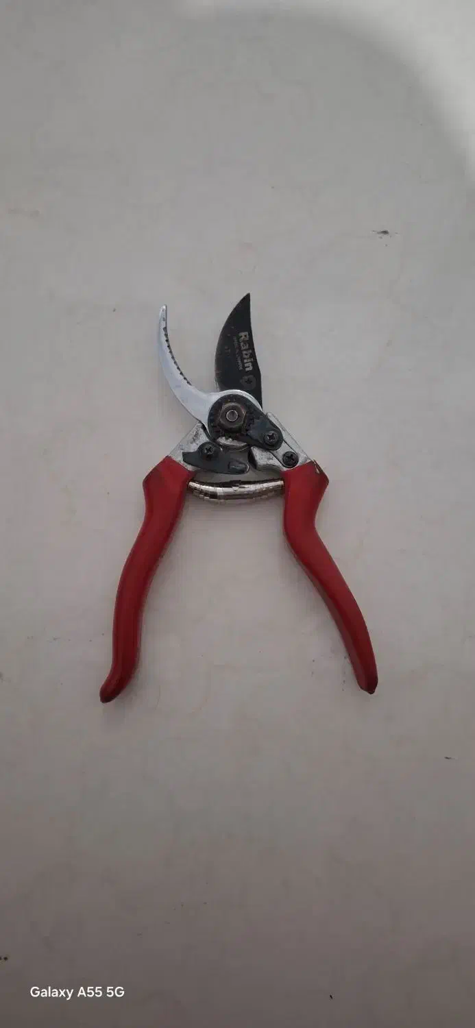 قیچی باغبانی رابین|ابزارآلات|مشهد, پنجتن|دیوار