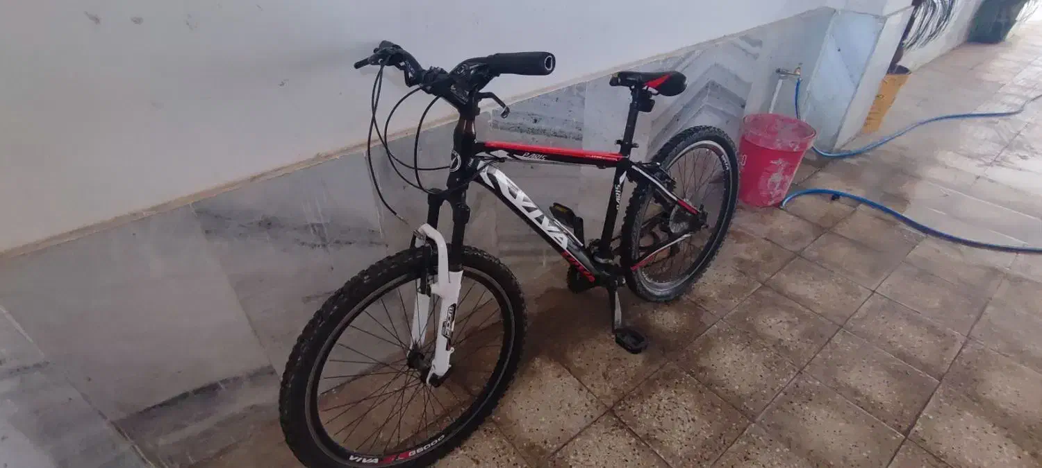 دوچرخه ویوا|دوچرخه، اسکیت، اسکوتر|بجنورد, |دیوار