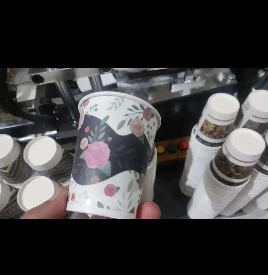 پخش انواع یکبار مصرف.|ظروف نگهدارنده، پلاستیکی، یک‌بارمصرف|اهر, |دیوار