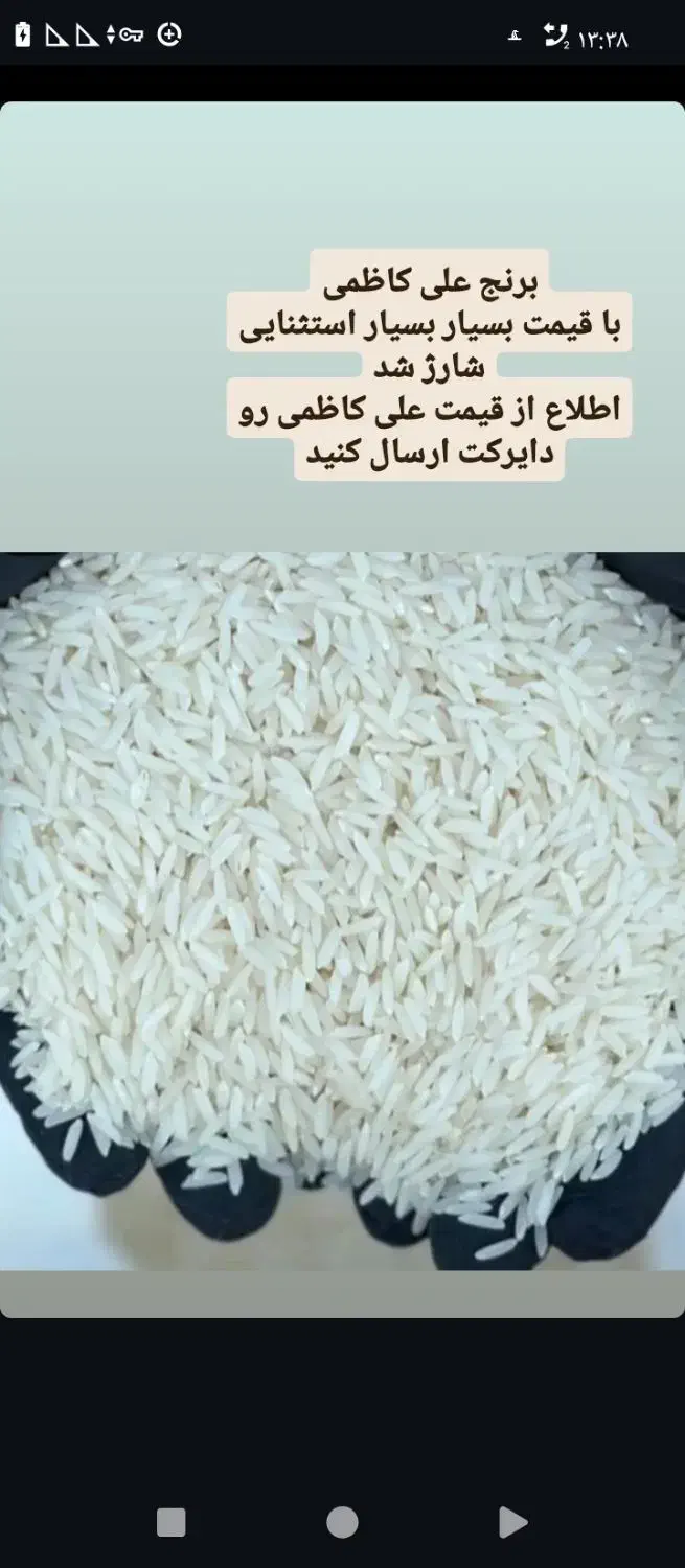 برنج محلی|خوردنی و آشامیدنی|تنکابن, |دیوار