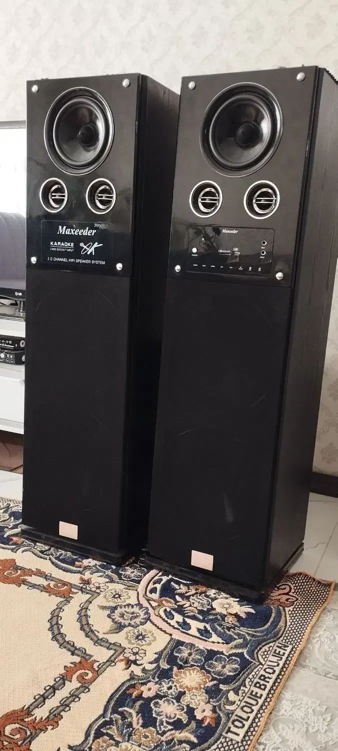 اسپیکر|سیستم صوتی خانگی|مرودشت, مسکن مهرگان|دیوار