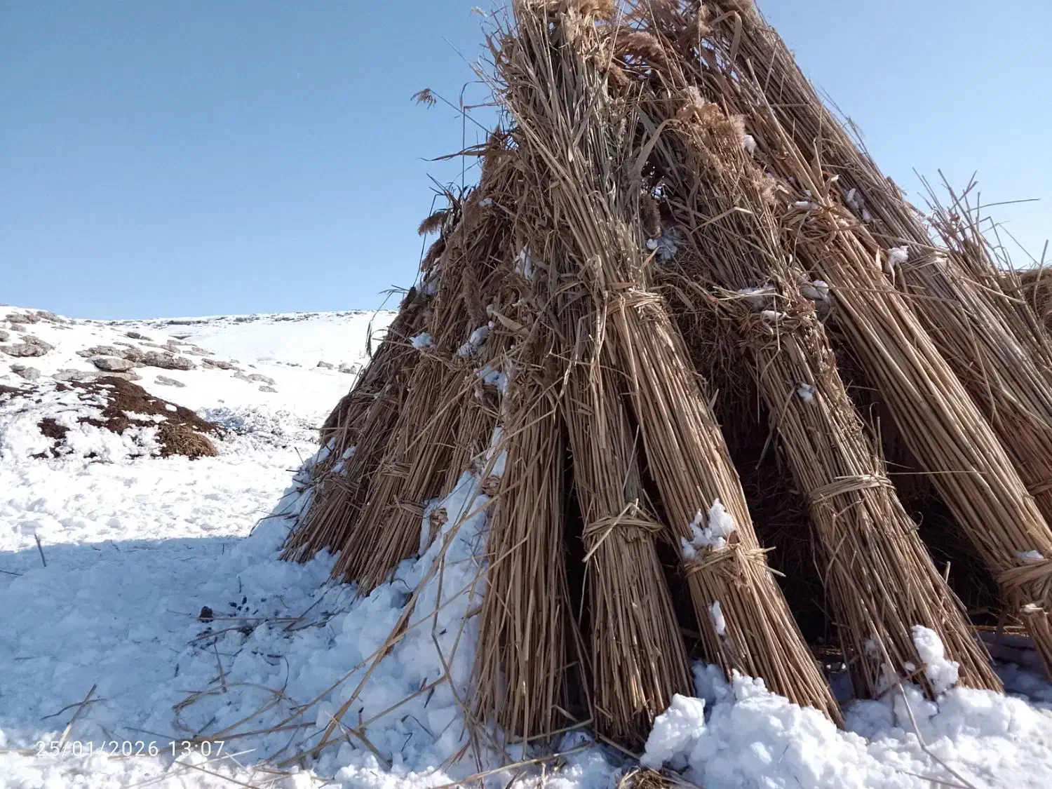 میل فروشی|لوازم جانبی حیوانات|ماکو, |دیوار