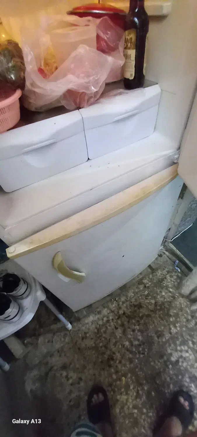 یخچال فریزر  سیلوان|یخچال و فریزر|تهران, هاشمی|دیوار