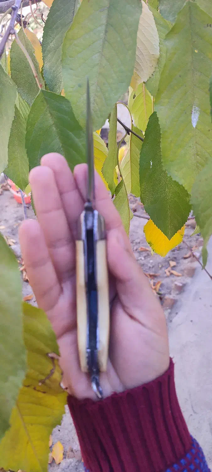 چاقوی بابا قدیمی|کلکسیون اشیاء عتیقه|اهر, |دیوار