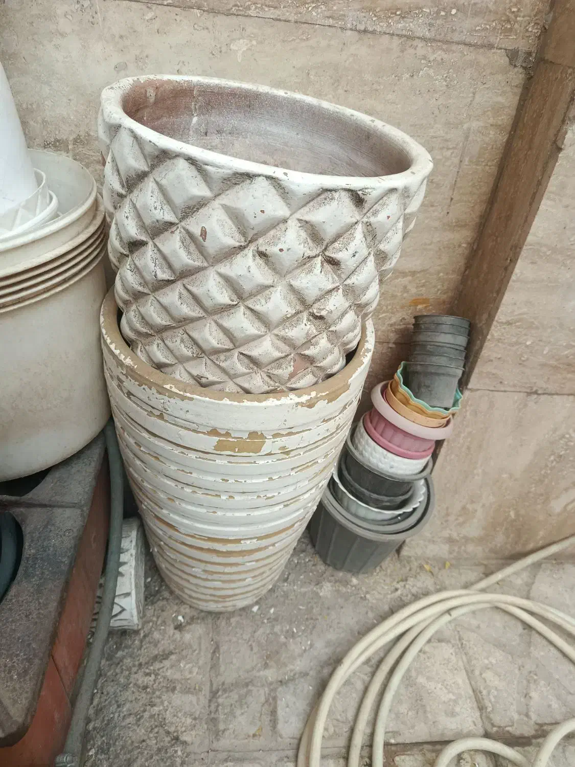 گلدان الوورا و یوگا باقیمت مناسب|گل و گیاه طبیعی|لواسان, |دیوار