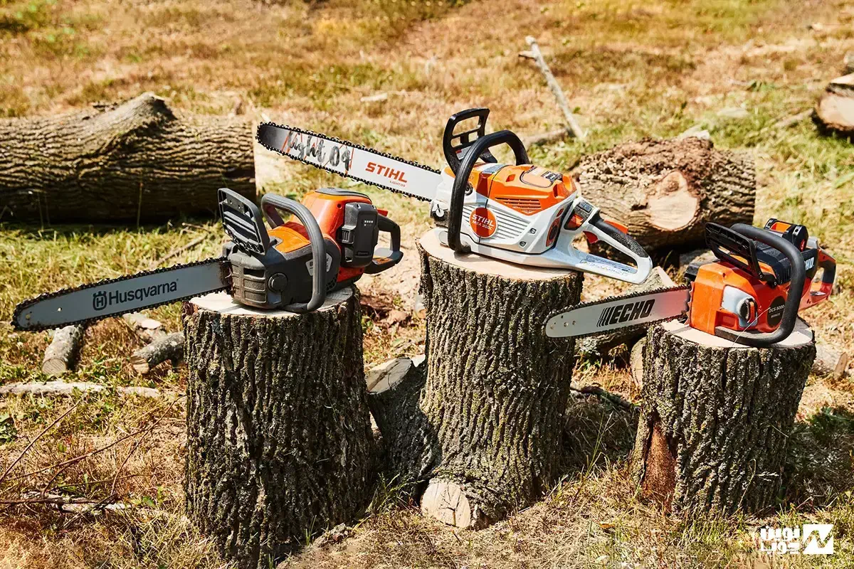 خرید فروش درخت به قیمت روز|خدمات باغبانی و درختکاری|اهر, |دیوار