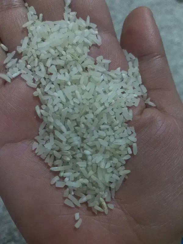 برنج فجر گرگان|خوردنی و آشامیدنی|تهران, پارک شهر|دیوار