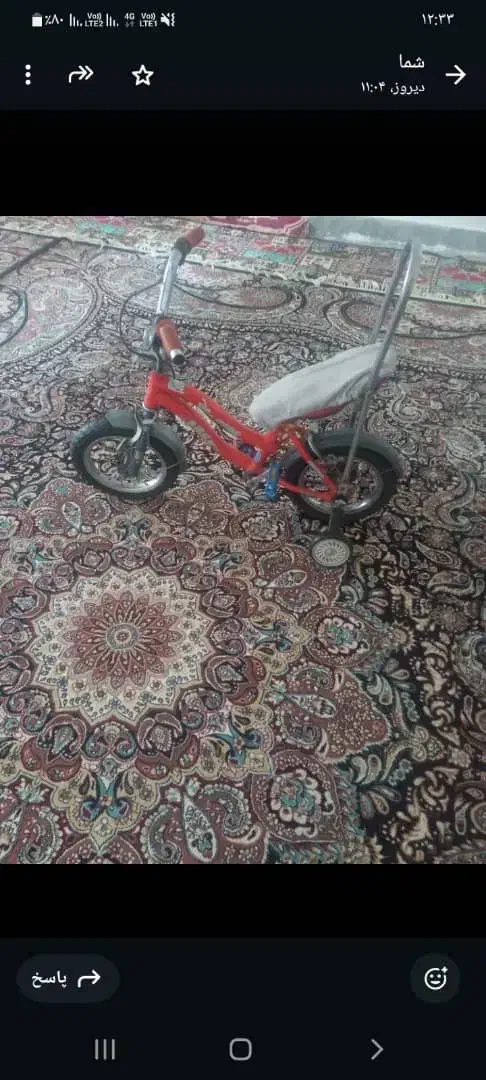 دوچرخه ۱۲|دوچرخه، اسکیت، اسکوتر|پلدختر, |دیوار