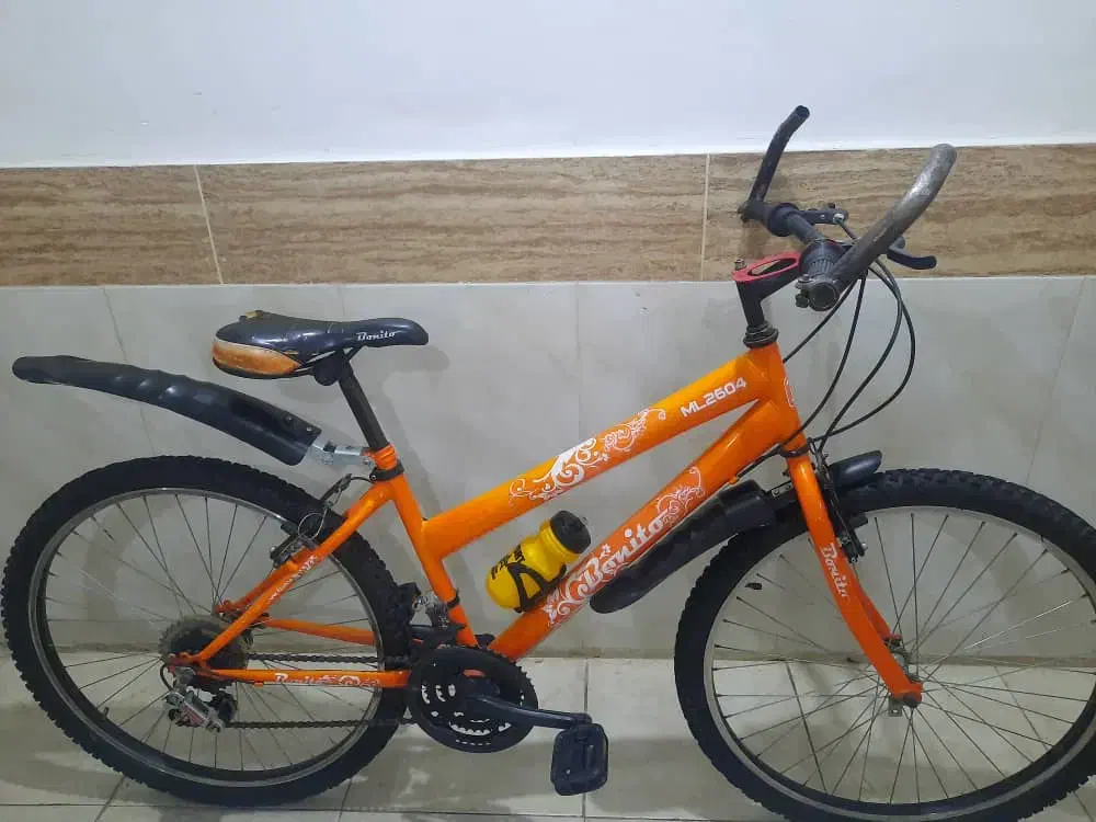 دوچرخه سایز ۲۶ بونیتو فابریک دنده ای لاستیک نو|دوچرخه، اسکیت، اسکوتر|مشهد, امیر|دیوار