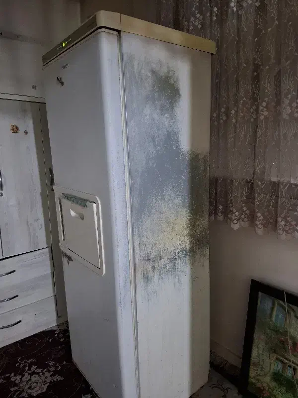 یخچال هیمالیا|یخچال و فریزر|تهران, شهرک شریفی|دیوار