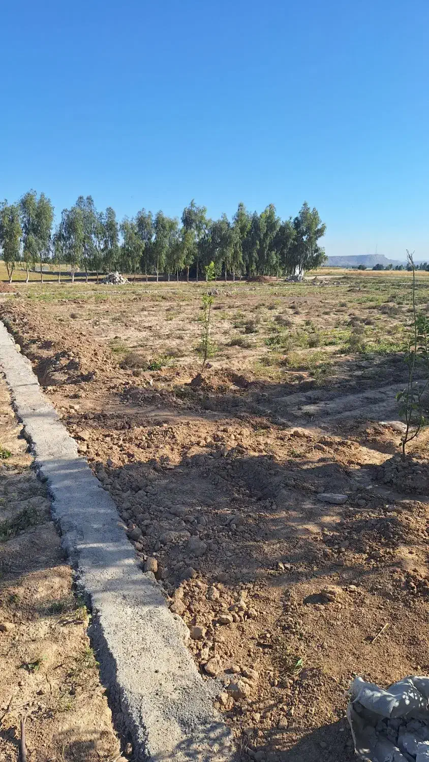 زمین به پلاک های ۵۰۰ ، ۱۰۰۰ متری بفروش می رسد|فروش دفتر صنعتی، کشاورزی، تجاری|شوشتر, |دیوار