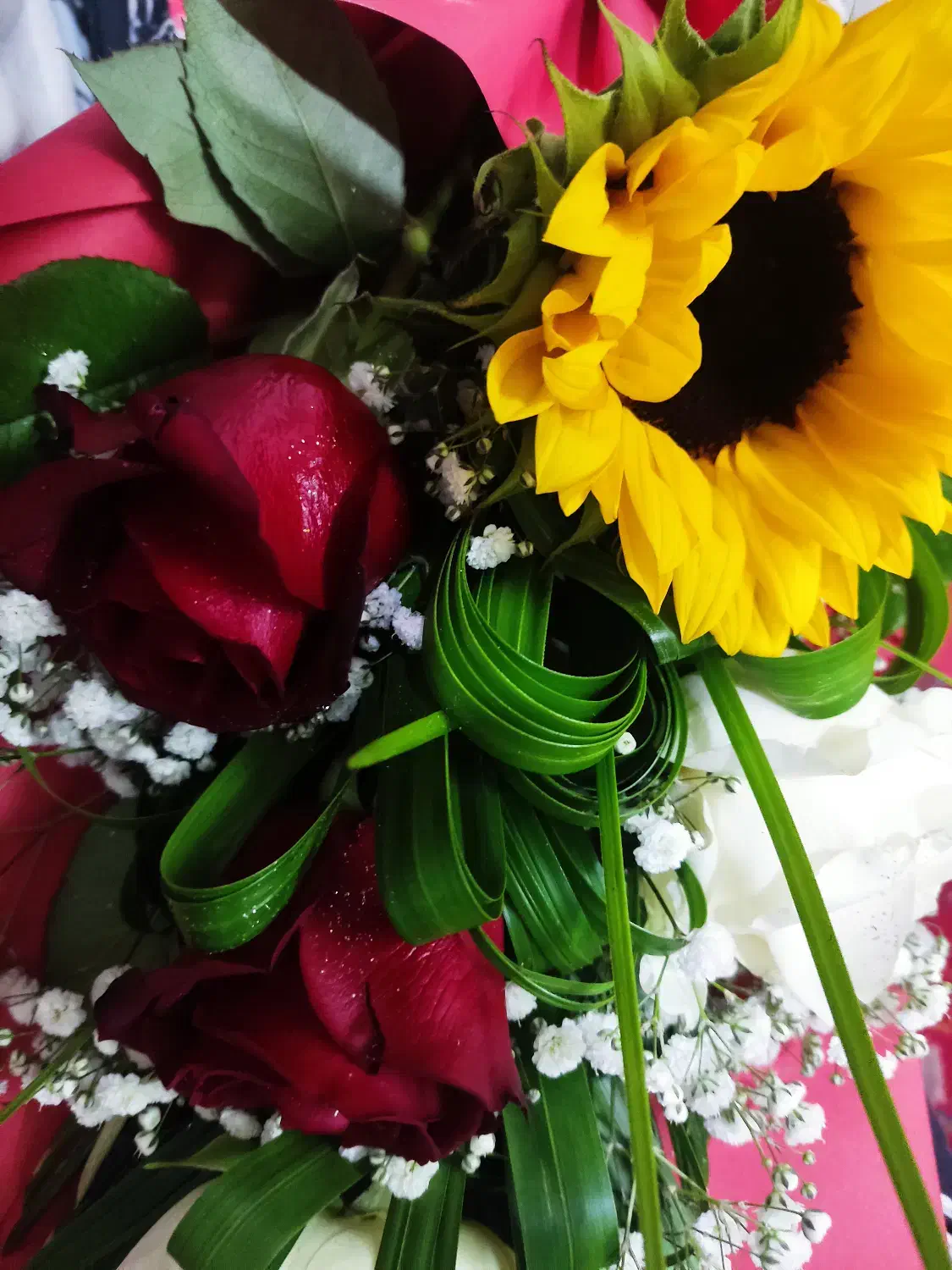 پروژه سانیار افرین ایرانیان|پیش‌فروش املاک|کهک, |دیوار