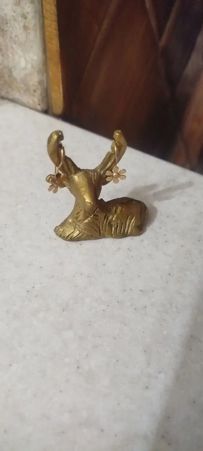 گوشواره طرح گل|جواهرات|نسیم‌شهر, |دیوار