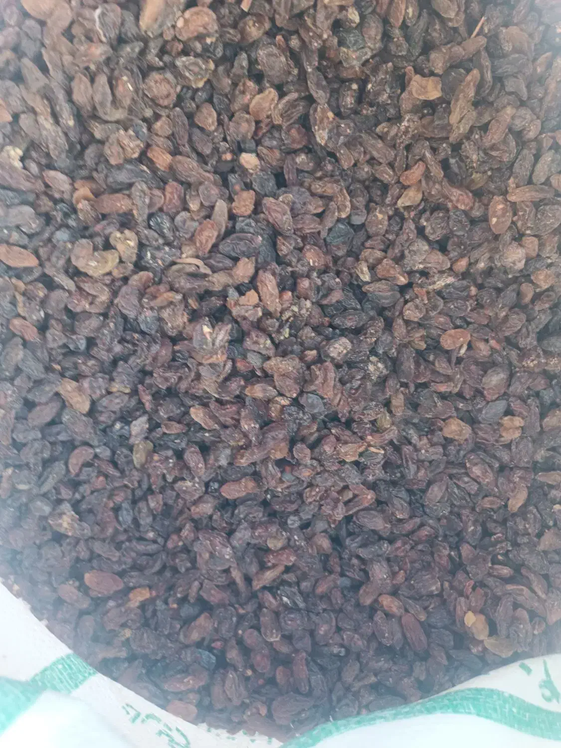 آفتابی کاشمر|خوردنی و آشامیدنی|کاشان, دانش|دیوار