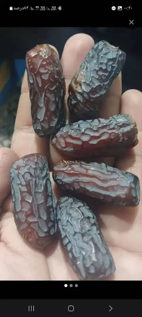 خرمایی پیارم به قیمت عمده فقط 295|عمده‌فروشی|لنگرود, |دیوار