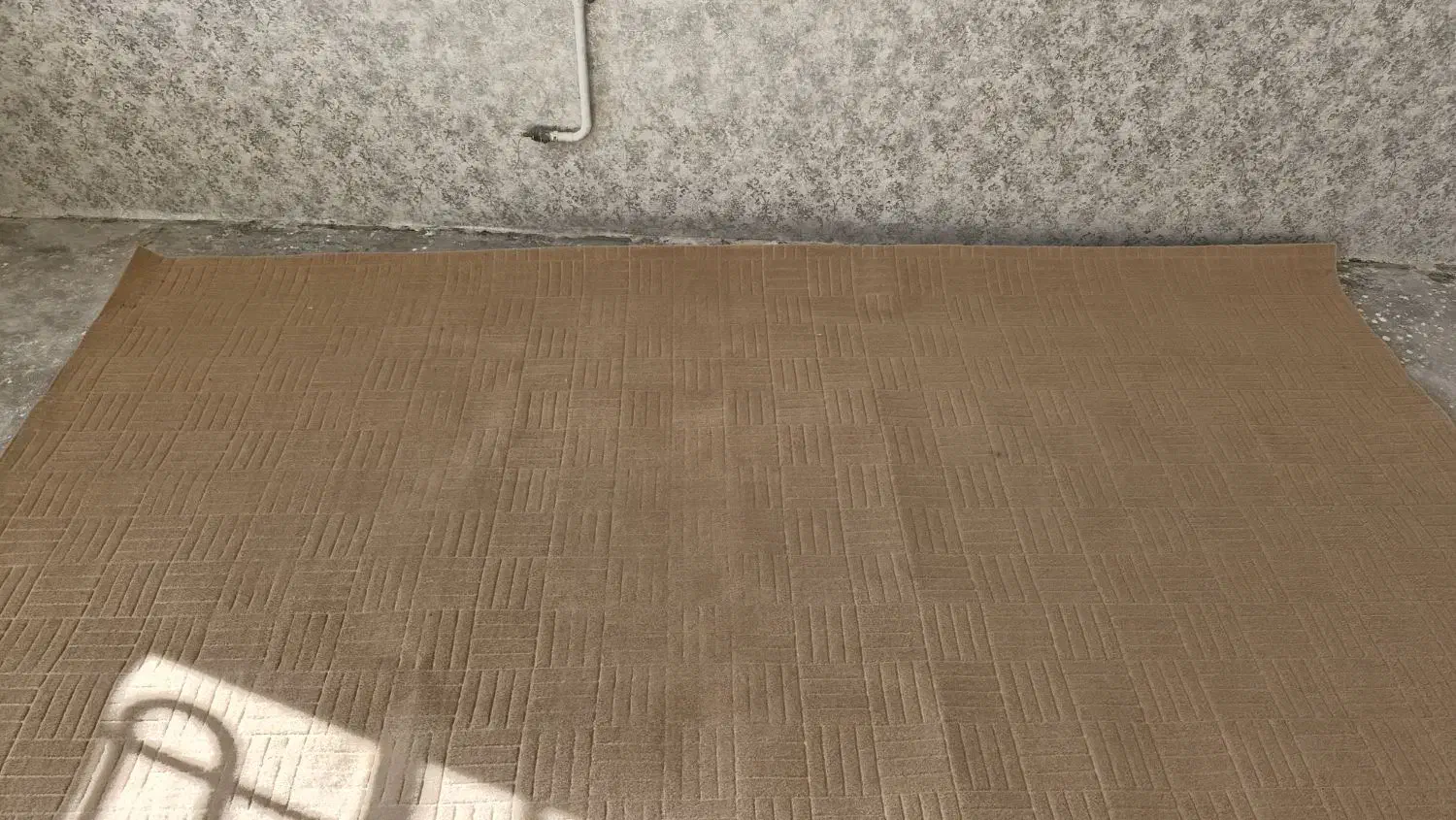 موکت پذیرایی|موکت|قائن, |دیوار