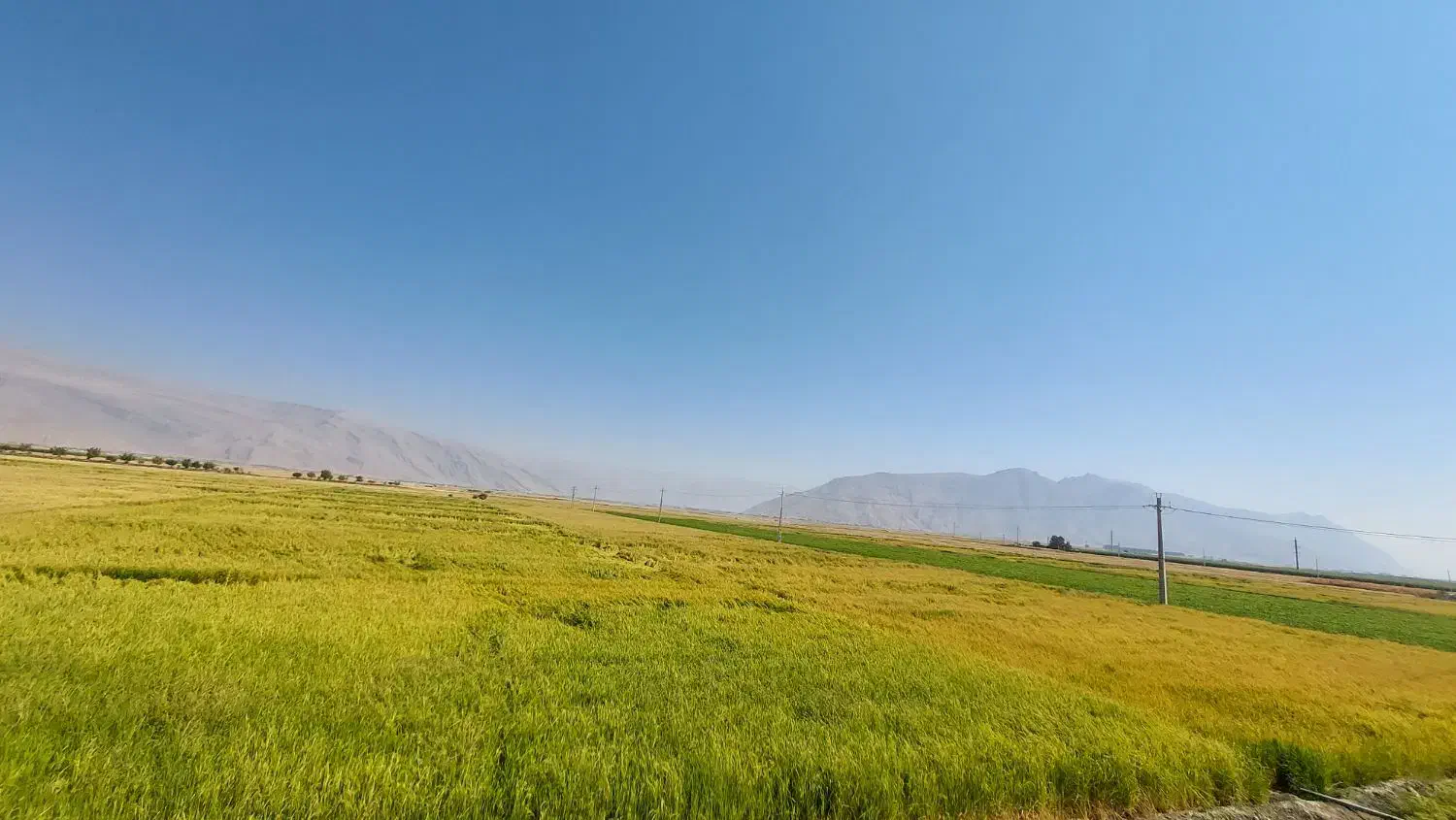 اجاره نقدی ۱۰ هکتار با چاه برقی و استخر|اجارهٔ دفتر صنعتی، کشاورزی، تجاری|درودزن, |دیوار