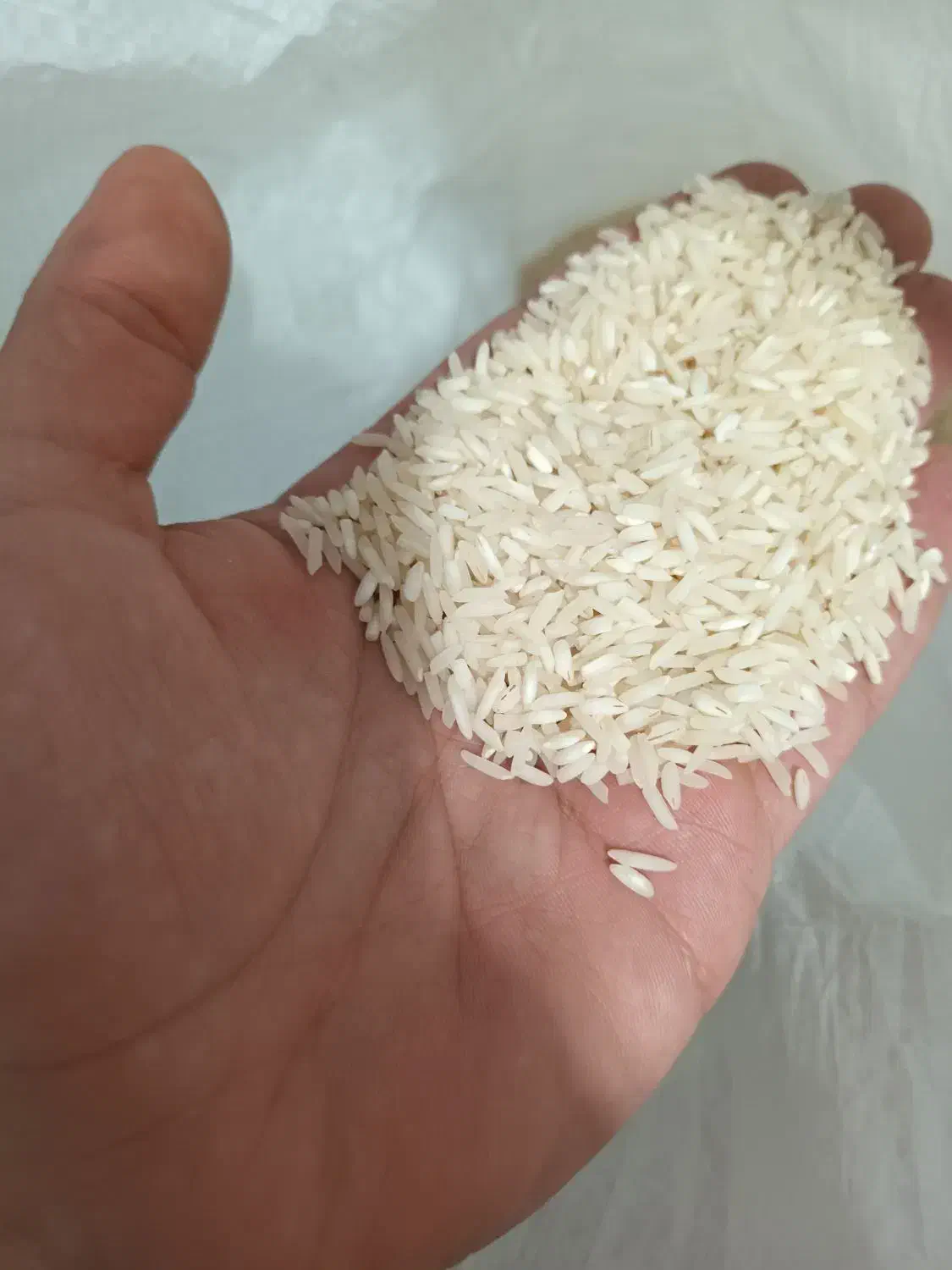 برنج طارم هاشمی|خوردنی و آشامیدنی|رشت, توشیبا|دیوار