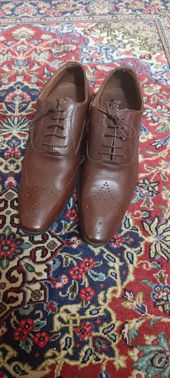 کفش مردانه|کیف، کفش، کمربند|قم, باجک یک|دیوار